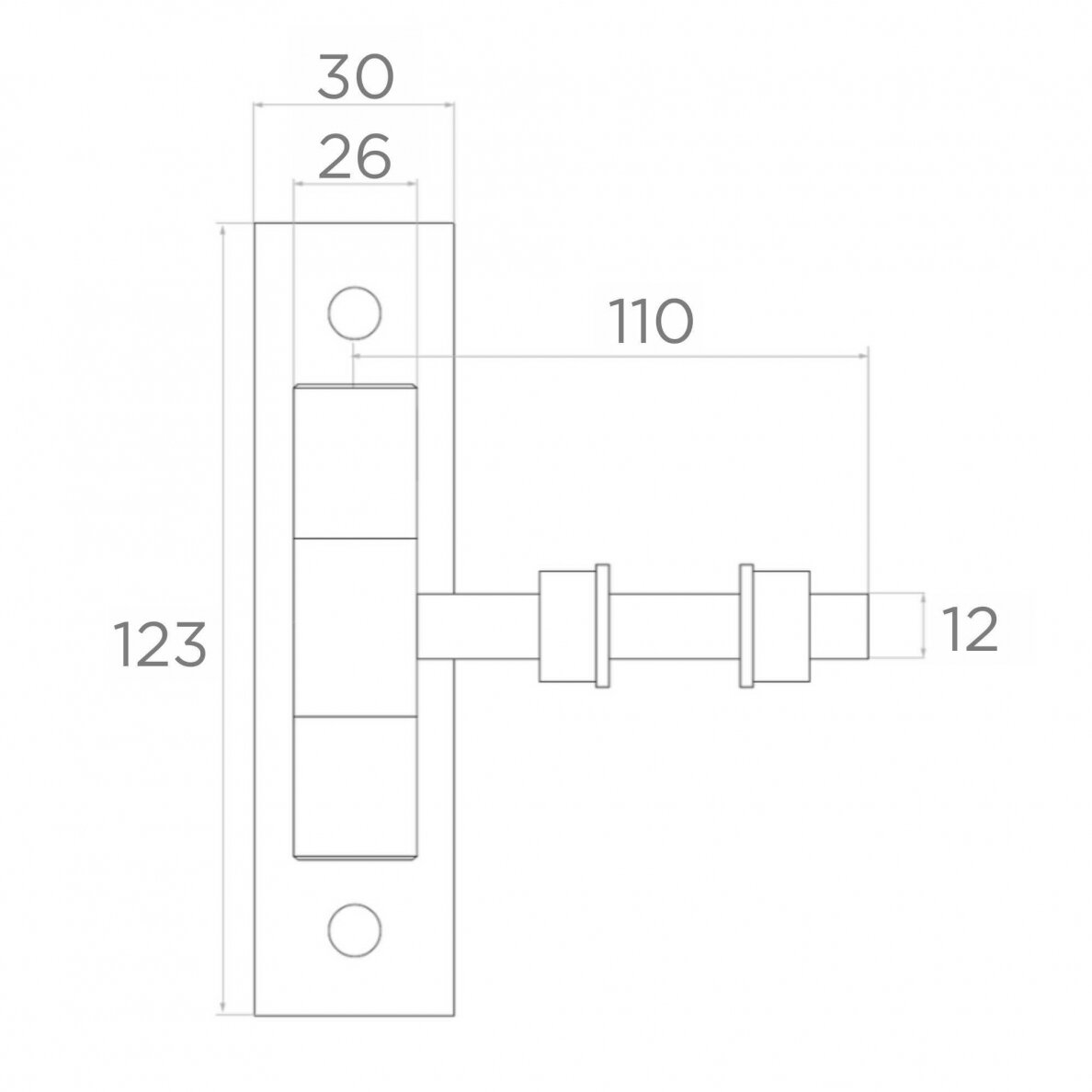 61.067 M12 123x30 mm 1 61.067 M12 123x30 mm 1